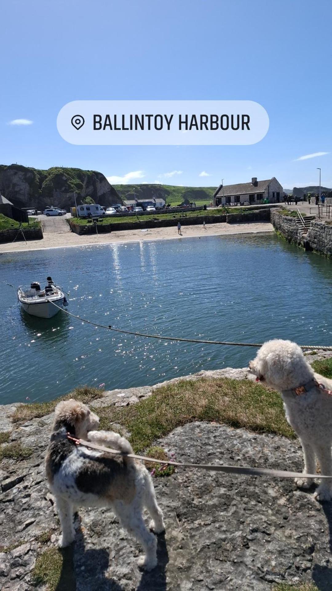 Therapy Lodge Ballycastle Quarto foto